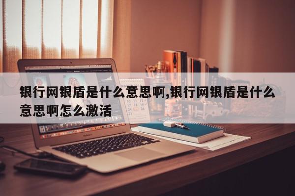 银行网银盾是什么意思啊,银行网银盾是什么意思啊怎么激活