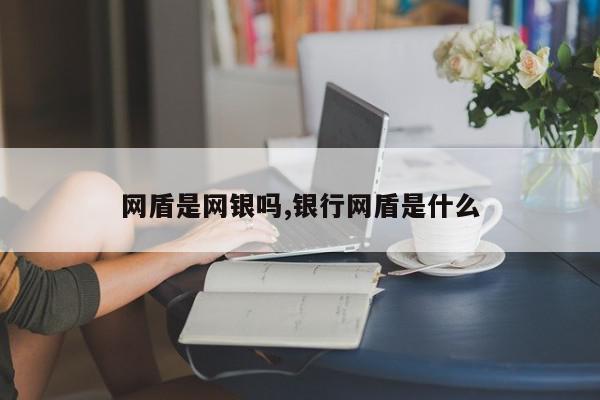 网盾是网银吗,银行网盾是什么
