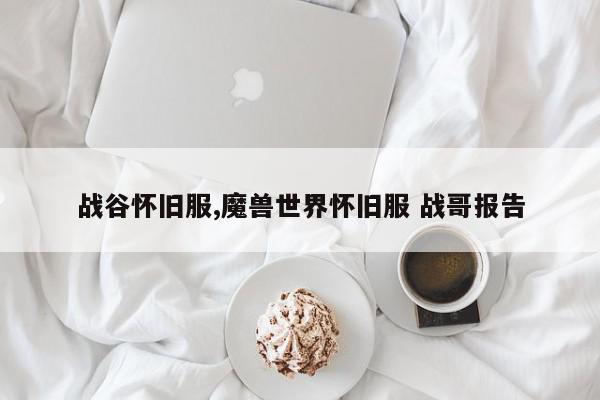 战谷怀旧服,魔兽世界怀旧服 战哥报告