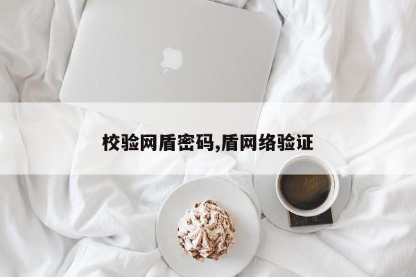 校验网盾密码,盾网络验证