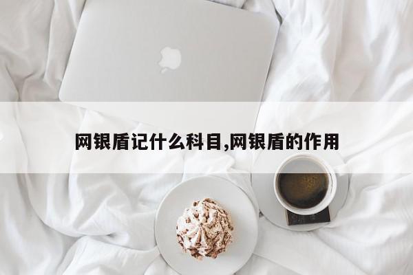 网银盾记什么科目,网银盾的作用
