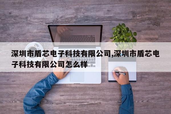 深圳市盾芯电子科技有限公司,深圳市盾芯电子科技有限公司怎么样