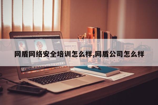 网盾网络安全培训怎么样,网盾公司怎么样