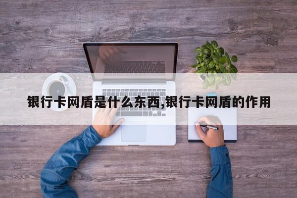 银行卡网盾是什么东西,银行卡网盾的作用