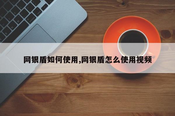 网银盾如何使用,网银盾怎么使用视频